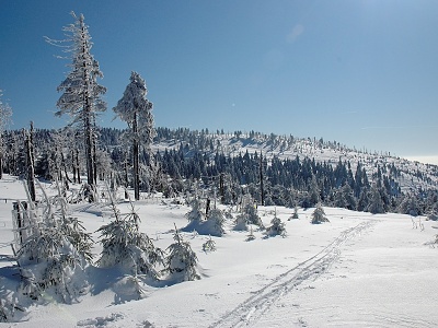 Zima v Orlických horách