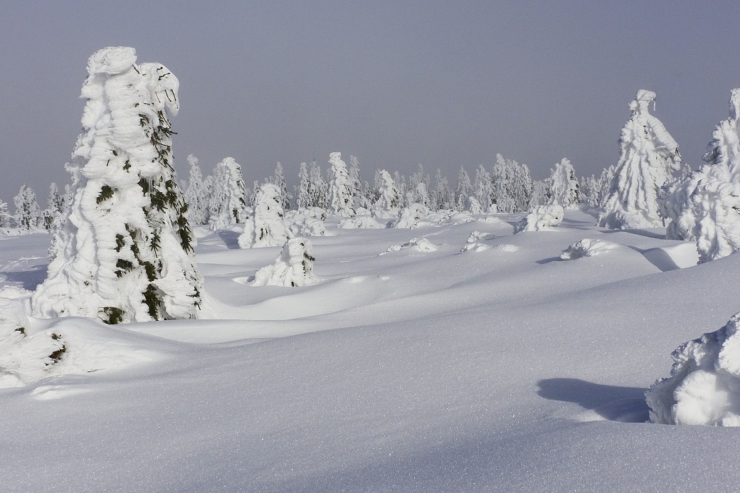 Vysoká sněhová pokrývka vydrží na hřebenu Orlických hor do pozdního jara